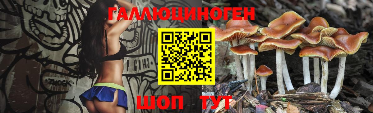 Псилоцибиновые грибы Magic Shrooms  Вход с VPN  Псилоцибиновые грибы MAGIC MUSHROOMS  Тамбов 